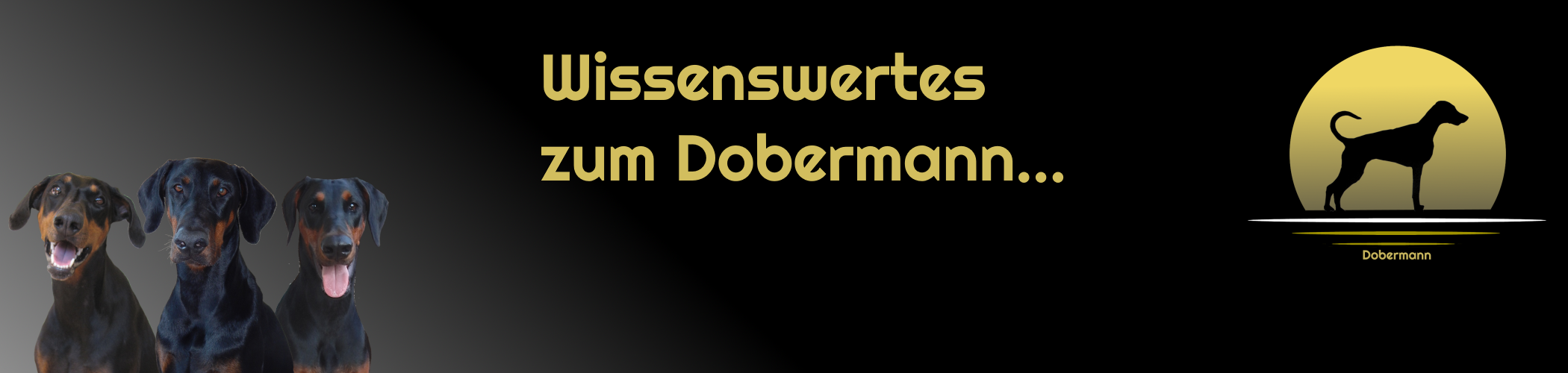 Dobermann