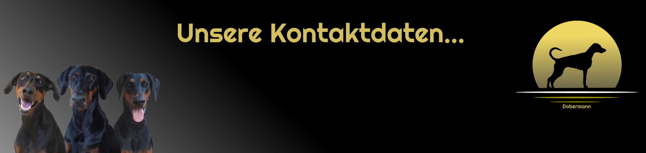 Kontakt